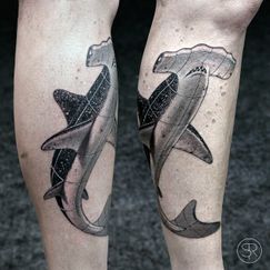 sven_rayen_geometric_shark