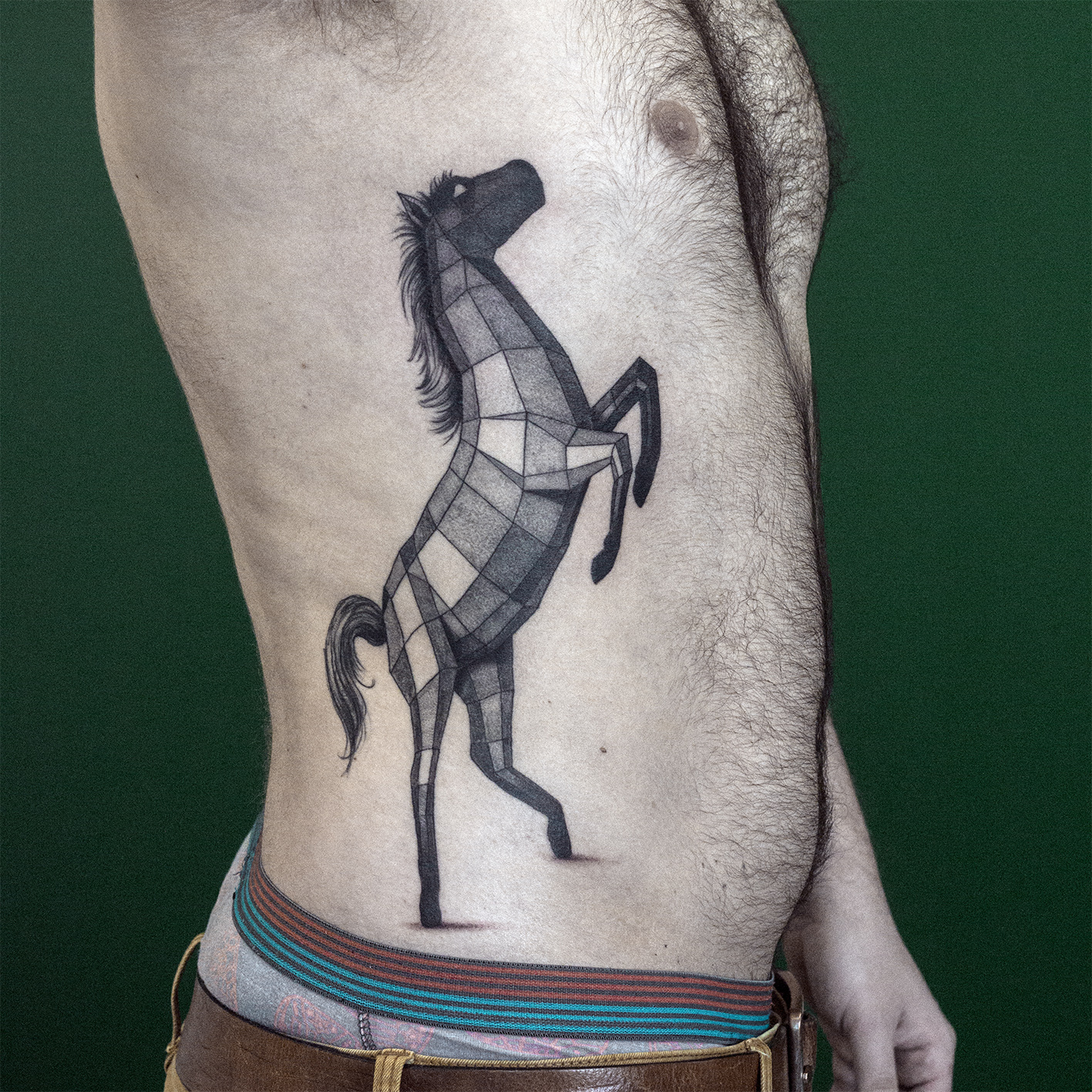 paard