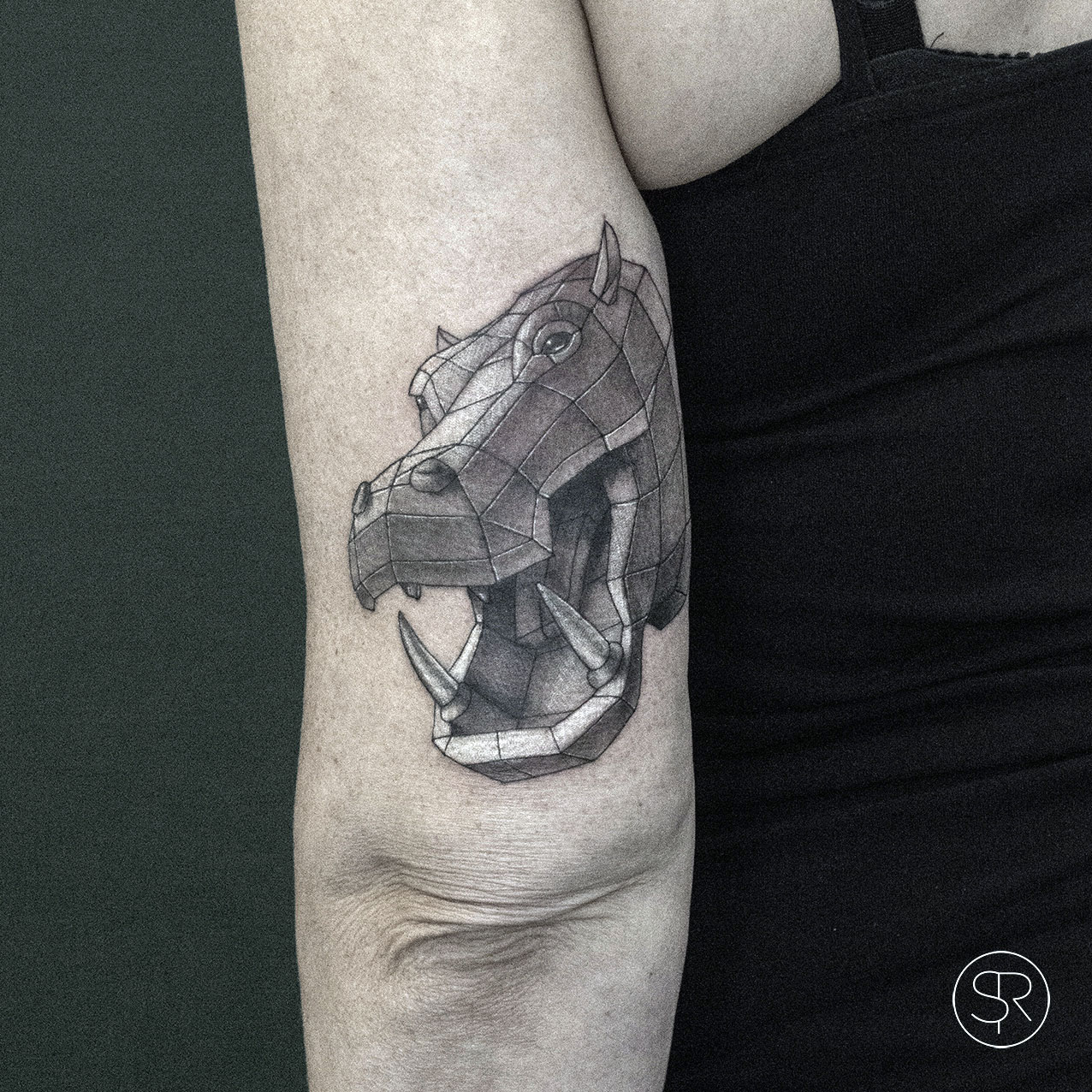 sven_rayen_geometric_animal_6