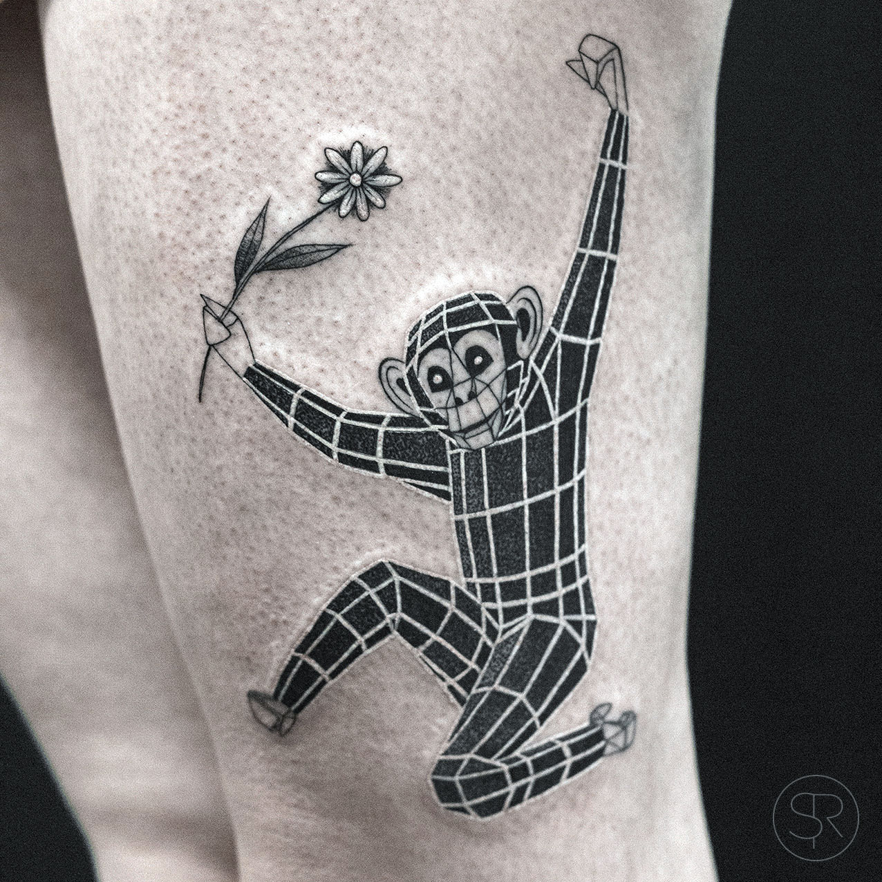 sven_rayen_geometric_ape
